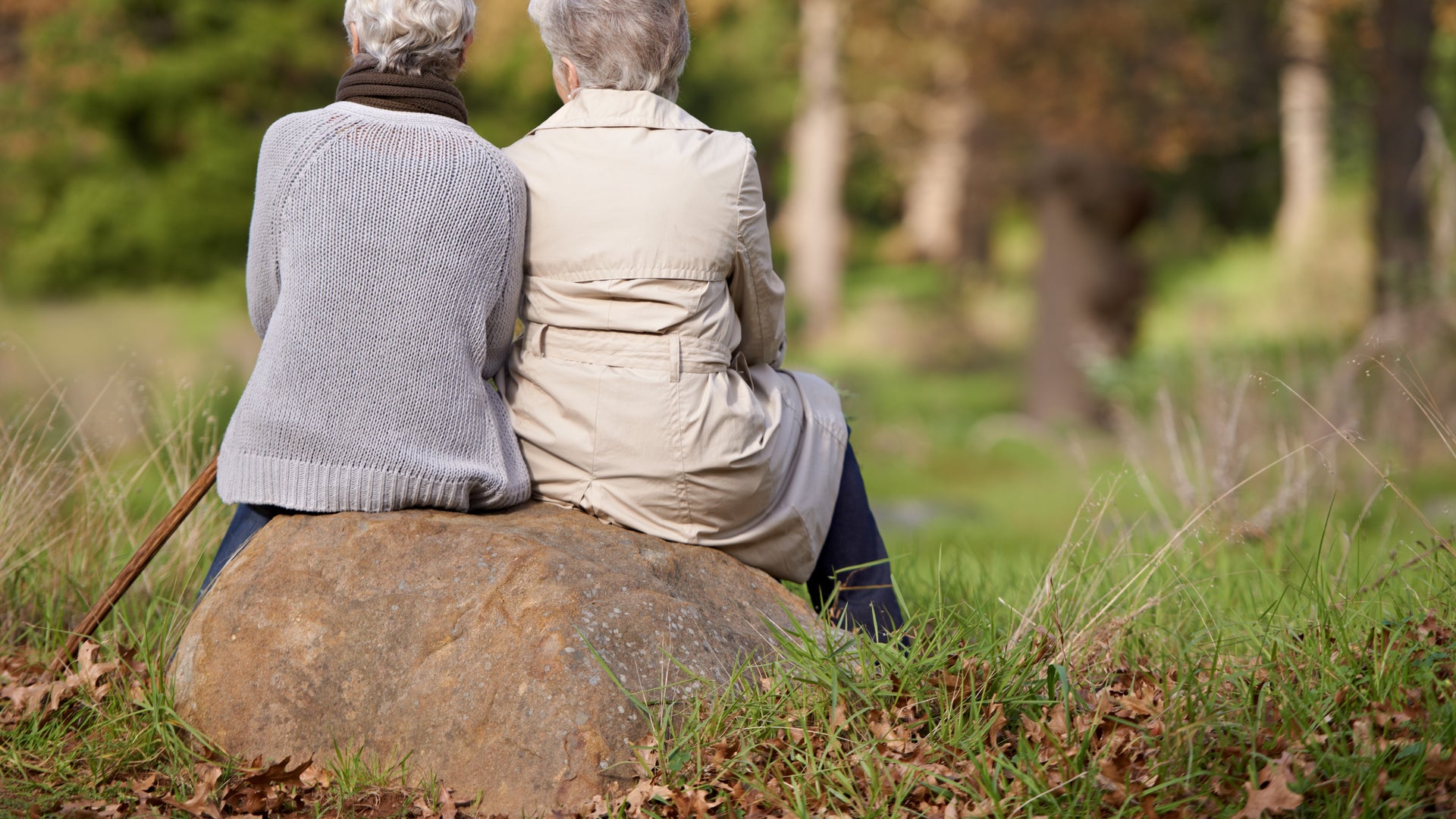 Elderly person with caring companion